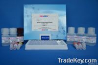 Aflatoxin M1 ELISA Kit