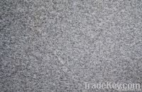 White granite tiles