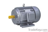 Y Three Phase AC Motor