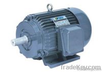 Y Series Three-Phase Induction Motor