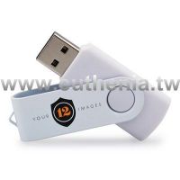customized USB flash drive