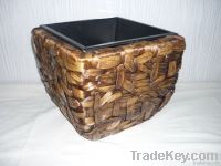 Water hyacinth Square pot