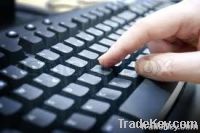 Data Entry Both Online & Offline