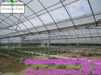 Plastic Agricultural Greenhouses from China