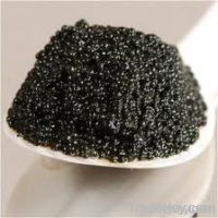 Fresh Black Russian Caspian Caviar