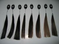 High qualtiy hair color ring hair tools accesories