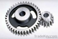 Spur Gear