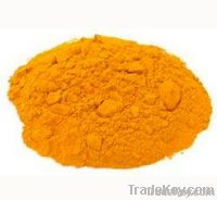 Turmeric powder