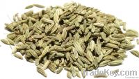 Fennel seeds