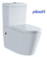 Phenitt White Ceramic Porcelain Flush Toilet Lavatory Pan White Background