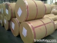 Printing Paper/Melamine Paper