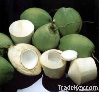 Organic Fresh Coconut