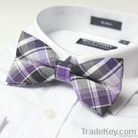 2013 Fashion polyester bow tie