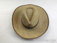 Fashion Straw Hat for Men