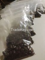 Guyabano/Graviola Seeds