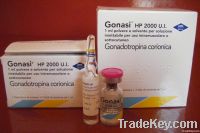 Gonasi hcg 2000