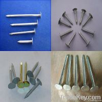 Galvanized Flat Head Roofing Nail
