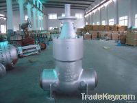 Pressure Seal Gate Valve