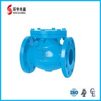 DIN Swing Check Valve