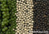 VIETNAM BLACK PEPPER 500G/L FAQ