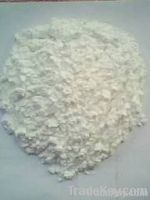 Potato Starch