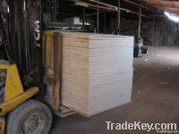 1220mmx2440mm KERUING PLYWOOD