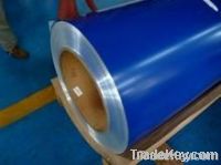 prepainted galvanized steel coils/sheets