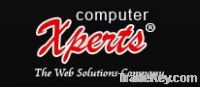 Web Design-Wesite Design Services