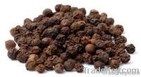 Black Pepper