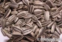 New Crop Sunflower Seeds Suppliers | Sunflower Seed Exporters, | Sunflower Black Seed  | Striped Black Seed | Flowers Seed | Sunflower Kernels