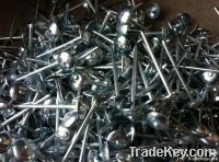 common wire nail, roofing nails, concrete nails