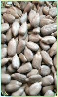 https://www.tradekey.com/product_view/2013-Bakery-Sunflower-Seed-Kernel-4676698.html