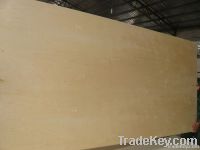High grade birch plywood