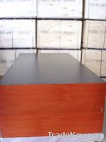 Film faced plywood