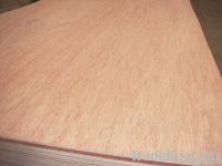 Bintangor plywood