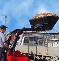 Bucket- Chipbark