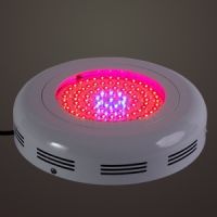 LED Grow Light