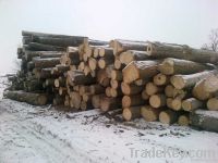 BayLeaf Global Traders Canadian Timber &amp; Lumber Exporters