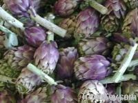 Artichoke