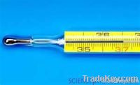 medical thermometer