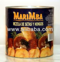 Canned Mix Fungus & Mushrooms (5 types) 3kg