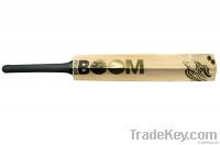 Boom Boom Signature 150 cricket bat 2013