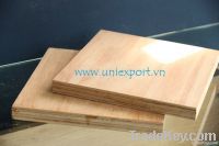 Viet Nam plywood