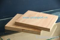 Container plywood