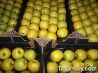 https://www.tradekey.com/product_view/Apples-Golden-Delicious-4779905.html