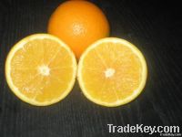 Fresh Orange