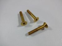 Titanium Socket Countersunk Head Screws in Gold