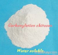 Carboxylation chitosan water soluble