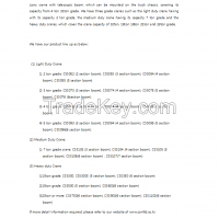 CS Tesescopic Boom Crane models