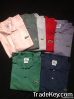 Polo in 17 different colours